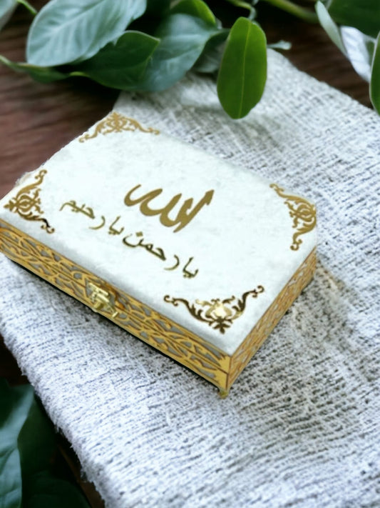 Luxuriory Velvet-Covered Quran Box with Tajveedi Quran, book Mark,tasbeeh nd Counting Tasbeeh